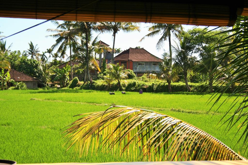 The Happy Mango Tree Hostel Ubud  Exterior photo